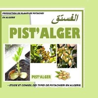 PIST'ALGER logo - Similar company to Pist Ltd