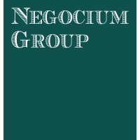 Negocium Group logo - Similar company to Innovent Technology Llc