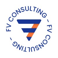 FV Consulting logo - Similar company to Consultora Innovacción