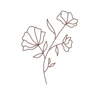 Nams Design logo - Similar company to Wrappid