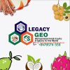 Legacy GEO