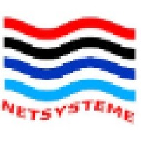 Netsysteme Informatique & Telecom logo - Similar company to Netsystem