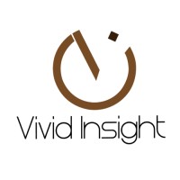 Vivid Insight Advertising Agency logo - Similar company to Digital Gems