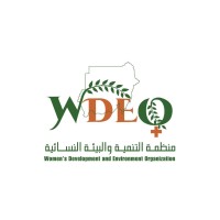 Women Development and Environment Organization logo - Similar company to Pulse