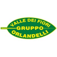 Valle dei Fiori logo - Similar company to Ekra S.R.L.