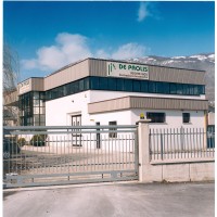 DE PAOLIS S.R.L. logo - Similar company to Farglass S.R.L.