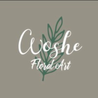 Woshe Studio logo - Similar company to Irnnco