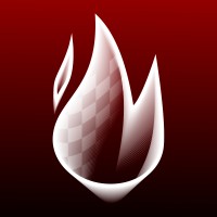 FYRA SimSport logo - Similar company to D.N.Athletes