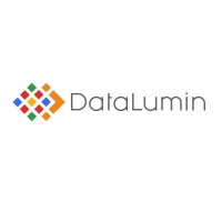 DataLumin logo - Similar company to Datalumen