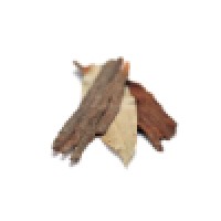 Marian Boardley Consulting LLC logo - Similar company to Factum Social Jr.