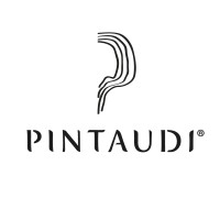 Vini Pintaudi logo - Similar company to Domus Vini Srl