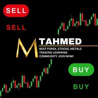 Learn Trading By MT logo - Similar company to Online Trading Academy Dubai