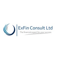 ExFin Consult Ltd logo - Similar company to Adg Consulting
