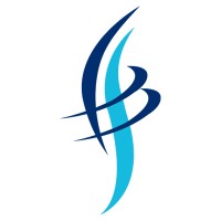 VLS Investment and Insurance Advisors logo - Similar company to Pee Aar Securities Ltd
