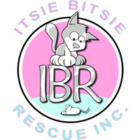 Itsie Bitsie Rescue, Inc. logo - Similar company to Agency On Aging Area 4