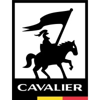 Cavalier Automotive design logo - Similar company to Tieverso