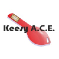 Keesy A.C.E. logo - Similar company to C.Dis