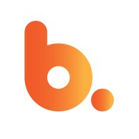 Bakson Ltd logo - Similar company to Digital Logic Ltd