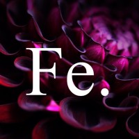 Feminista logo - Similar company to We Do