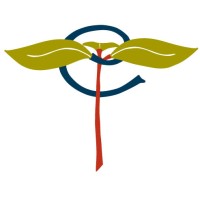 Twining Design logo - Similar company to Pulp