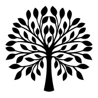 YVES ANAIS logo - Similar company to Net Ops