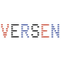 Vereniging Software Engineering Nederland