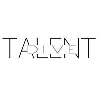 Talent Dive logo - Similar company to Talentdive Gmbh