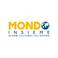 Mondo Insieme logo - Similar company to Service Technology Srl