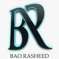 BaoRasheed by BR logo - Similar company to Bitfushion.Tech