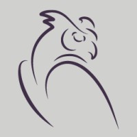 Owlpoint Capital Management logo - Similar company to Usonia Partners