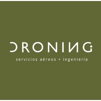 DRONING logo - Similar company to Aicor Uas