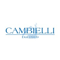 CAMBIELLI SPA logo - Similar company to Zanutta