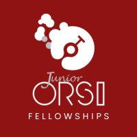 Junior Orsi Fellowships logo - Similar company to Orsi Academy
