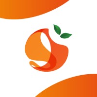 Orange Network logo - Similar company to Cornerstone Advice Ltd