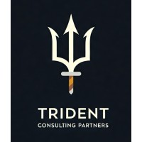 Trident Consulting Partners logo - Similar company to Skinstric