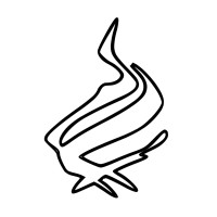 Soul in Motion logo - Similar company to Institut Aos