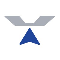 TechVantis logo - Similar company to Bedem Security
