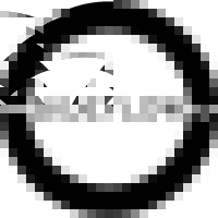 Sideflow logo - Similar company to Orthopedix