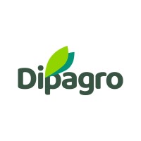 Dipagro logo - Similar company to Agrofértil Mt