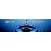 iGo AS logo - Similar company to Lamaskenfalleskrivekurs