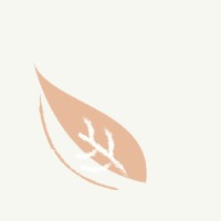 The Willow Label logo - Similar company to Nnio