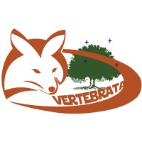 Vertebrata Ltda. logo - Similar company to Sdg Chile Invest