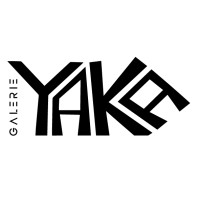 GALERIE YAKA logo - Similar company to Saint-Étienne, Secteur De Bruno Senechal