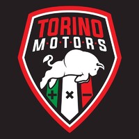 Torino Motors logo - Similar company to Central Outlet Group