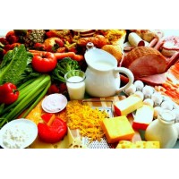 Food Nutrition logo - Similar company to Eklavya