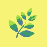 Fern logo - Similar company to Fern Creative