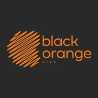 Black Orange logo - Similar company to Trivandi