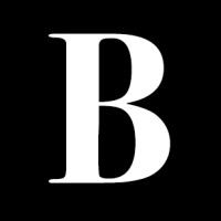 Begegnungen logo - Similar company to Squirrel & Nuts Dialog Gmbh