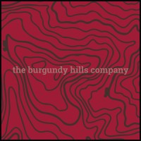 The Burgundy Hills Company logo - Similar company to Catalyst Economics