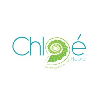 Sophrologue Chloe Nopre logo - Similar company to Begin